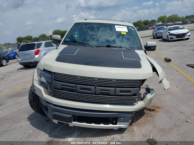 Ford F-150 Svt Raptor 2014 1FTFW1R68EFA56049 Image 12