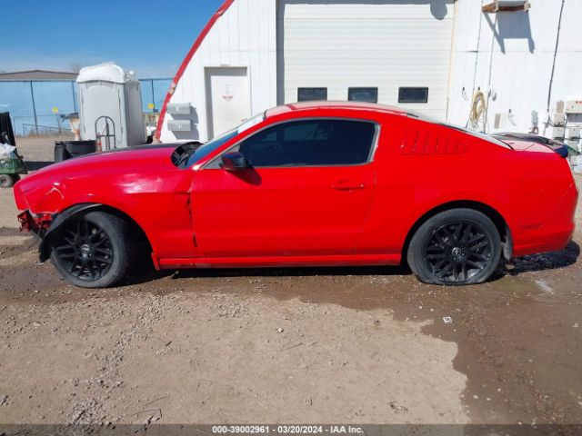 1ZVBP8AM8E5296459 Ford Mustang V6