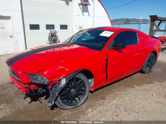 1ZVBP8AM8E5296459 Ford Mustang V6