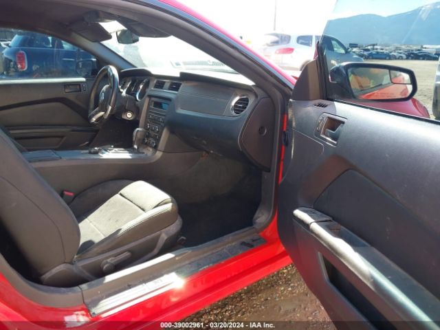 1ZVBP8AM8E5296459 Ford Mustang V6