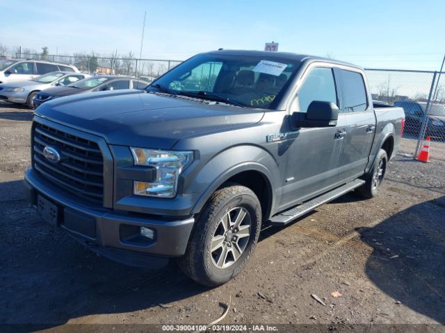 1FTEW1EG4FKD54391 Ford F-150 Xlt