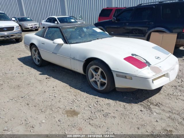 Auction sale of the 1988 Chevrolet Corvette, vin: 1G1YY2184J5114091, lot number: 39004281