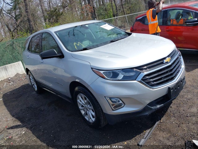 Chevrolet EQUINOX LS 2019 2GNAXHEV4K6216261 zdjęcie główne