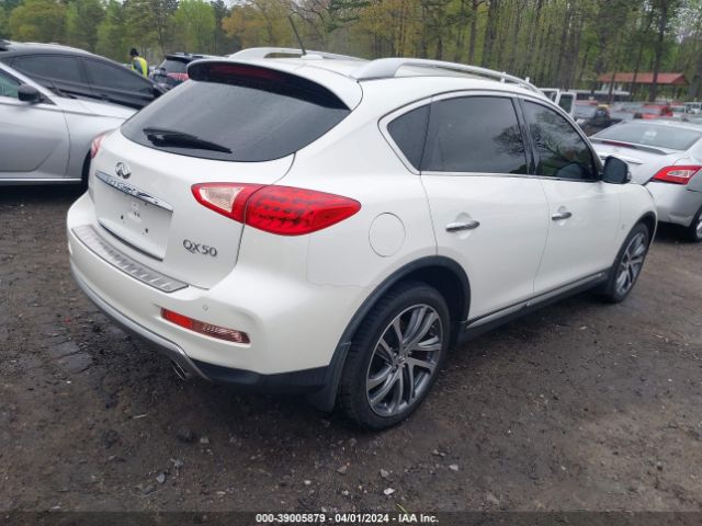JN1BJ0RP6GM230749 Infiniti QX50