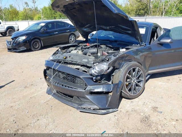 Ford Mustang Ecoboost Fastback 2020 1FA6P8TH5L5159423 Image 6
