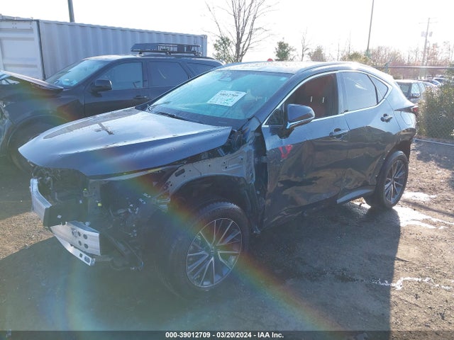 Lexus Nx 350h Premium 2023 2T2GKCEZ9PC012337 Image 2