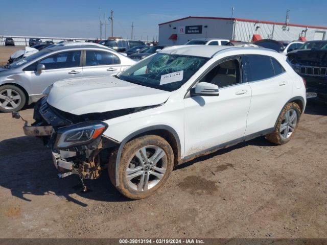 W1NTG4EB1LU029135 Mercedes-Benz GLA 250