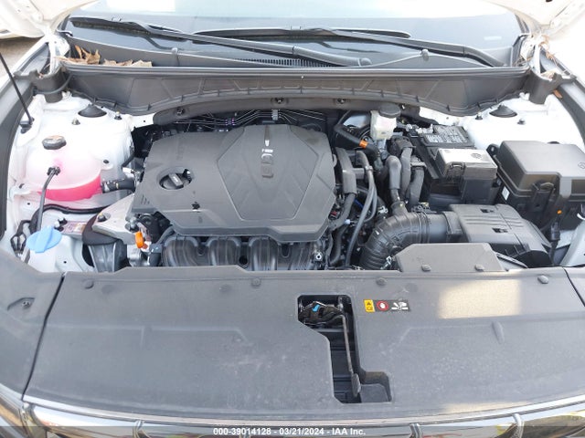 Hyundai Tucson Limited 2024 5NMJECDEXRH301756 Image 10