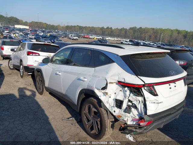 Hyundai Tucson Limited 2024 5NMJECDEXRH301756 Image 14
