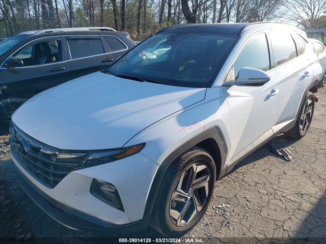 Hyundai Tucson Limited 2024 5NMJECDEXRH301756 Image 2