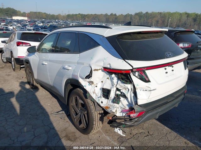 Hyundai Tucson Limited 2024 5NMJECDEXRH301756 Image 3