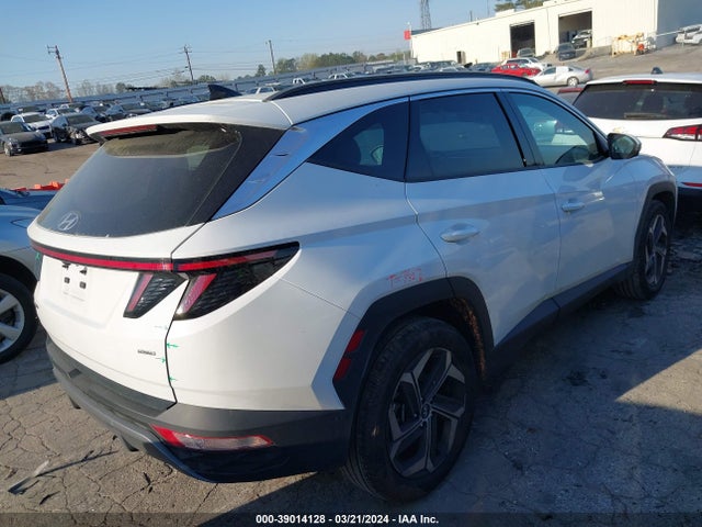Hyundai Tucson Limited 2024 5NMJECDEXRH301756 Image 4