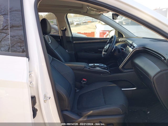 Hyundai Tucson Limited 2024 5NMJECDEXRH301756 Image 5