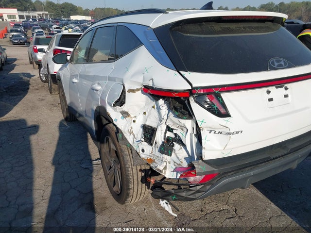 Hyundai Tucson Limited 2024 5NMJECDEXRH301756 Image 6