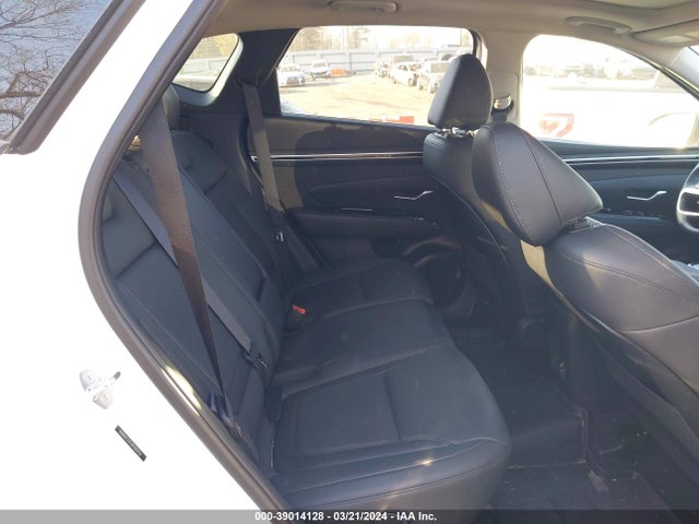 Hyundai Tucson Limited 2024 5NMJECDEXRH301756 Image 8