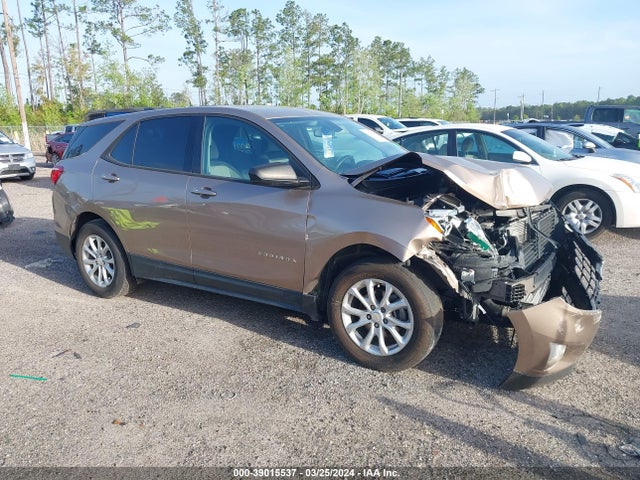 Chevrolet EQUINOX LS 2019 2GNAXSEV2K6121842 zdjęcie główne