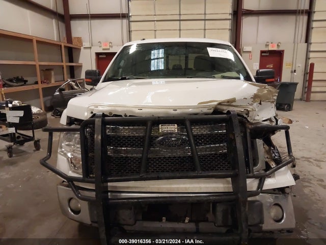 Ford F-150 Xlt 2014 1FTFW1EF4EKG25802 Image 12