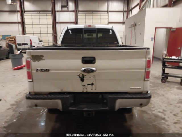 Ford F-150 Xlt 2014 1FTFW1EF4EKG25802 Image 16
