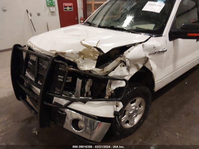 Ford F-150 Xlt 2014 1FTFW1EF4EKG25802 Image 6