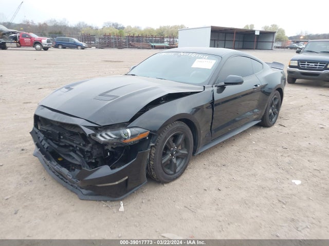 Ford Mustang Ecoboost 2019 1FA6P8THXK5177978 Image 2