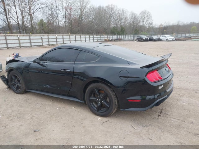 Ford Mustang Ecoboost 2019 1FA6P8THXK5177978 Image 3