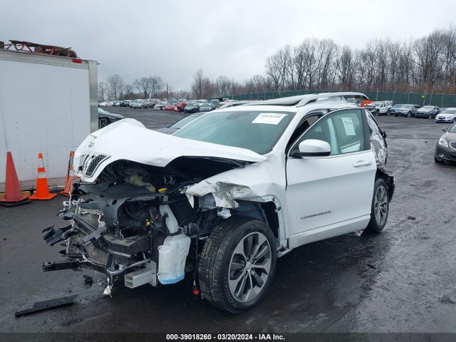 Jeep Cherokee Overland 4x4 2019 1C4PJMJN2KD162950 Image 2