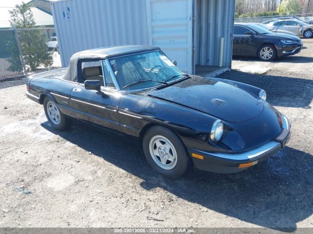 1987 ALFA ROMEO SPIDER ZARBA5588H1048066