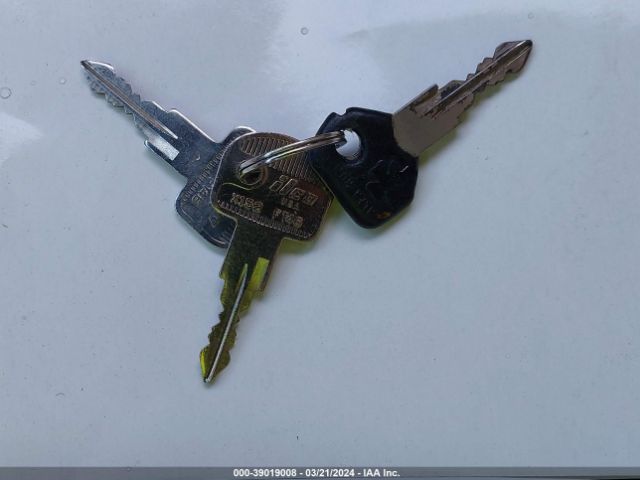 1987 ALFA ROMEO SPIDER ZARBA5588H1048066 Photo 10