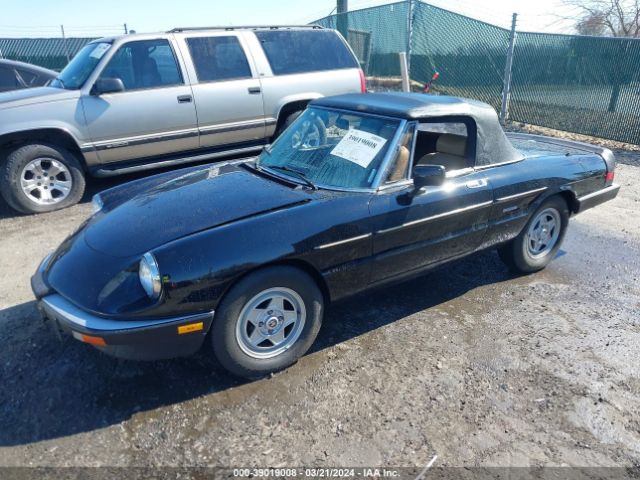 1987 ALFA ROMEO SPIDER ZARBA5588H1048066 Photo 1