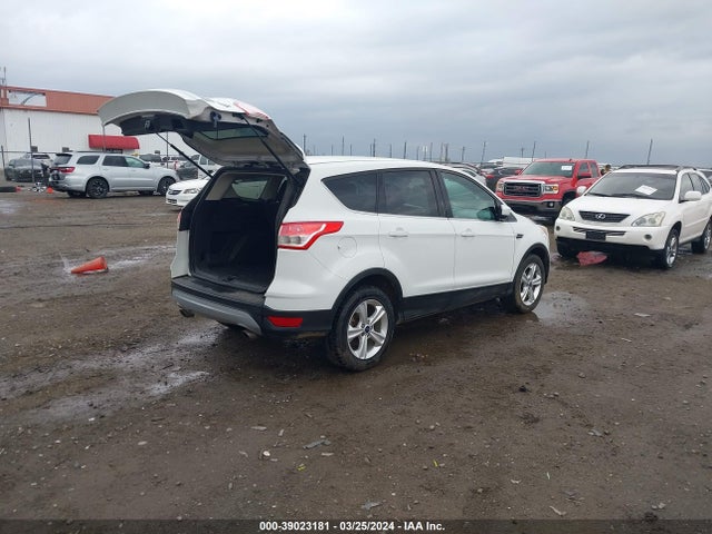 Ford ESCAPE SE 2014 1FMCU9GX6EUA34299 Image 4