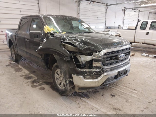 Ford F-150 Xlt 2023 1FTFW1E81PFA23713 Image 6