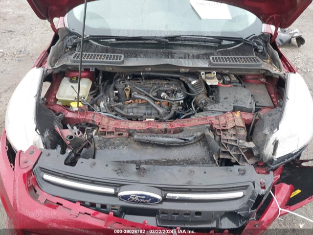 Ford ESCAPE SE 2014 1FMCU0GX2EUD21411 Image 10