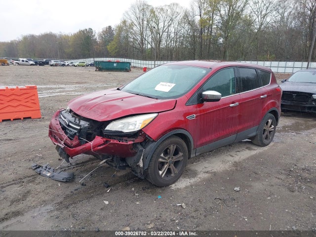 Ford ESCAPE SE 2014 1FMCU0GX2EUD21411 Image 2
