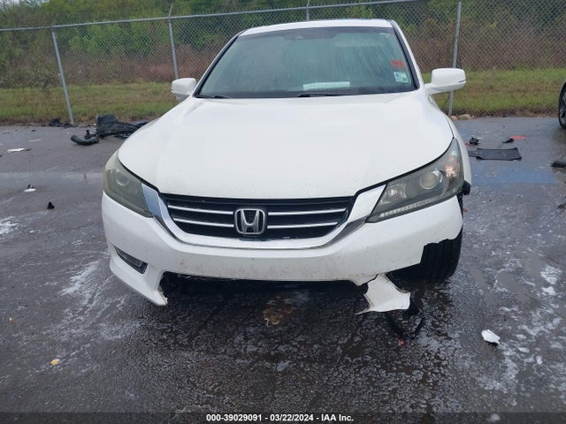 Honda Accord Ex-l 2014 1HGCR2F84EA142608 Image 6
