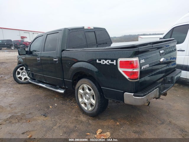 Ford F-150 Xlt 2014 1FTFW1ET1EKG19185 Image 3