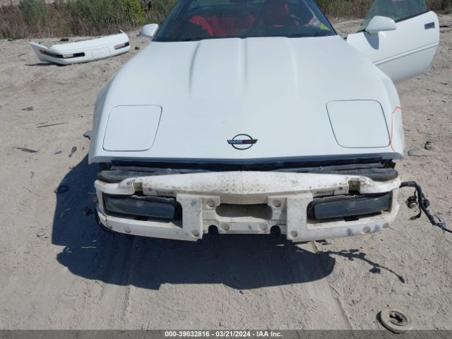 1994 CHEVROLET CORVETTE 1G1YY22P5R5107491 Photo 5