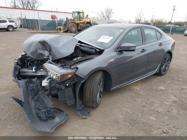 19UUB3F66KA000558 Acura Tlx Tech   A-spec Pkgs