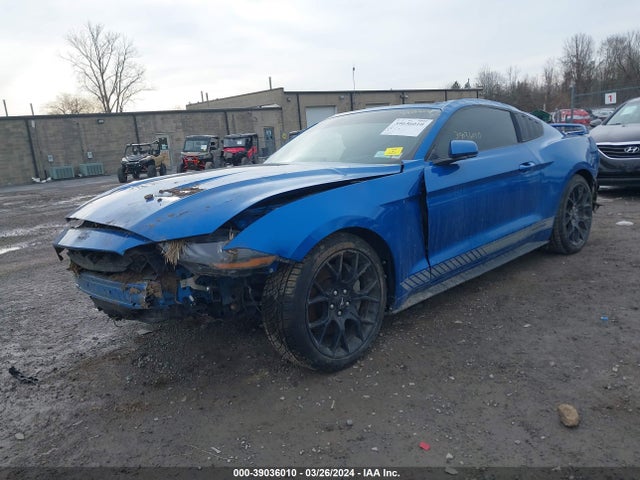 Ford Mustang 2019 1FA6P8TH2K5203084 Image 2