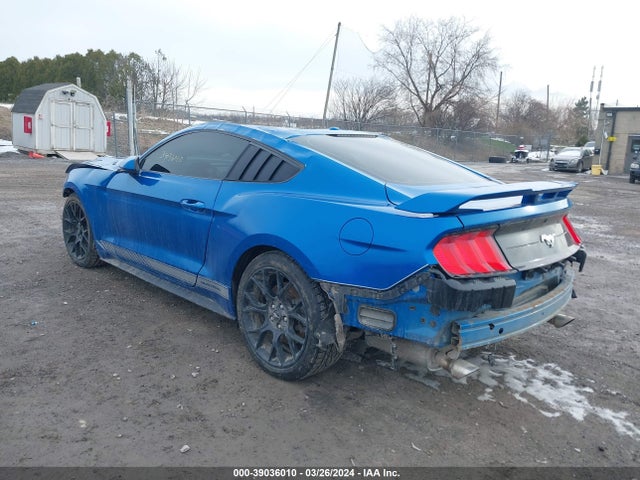 Ford Mustang 2019 1FA6P8TH2K5203084 Image 3