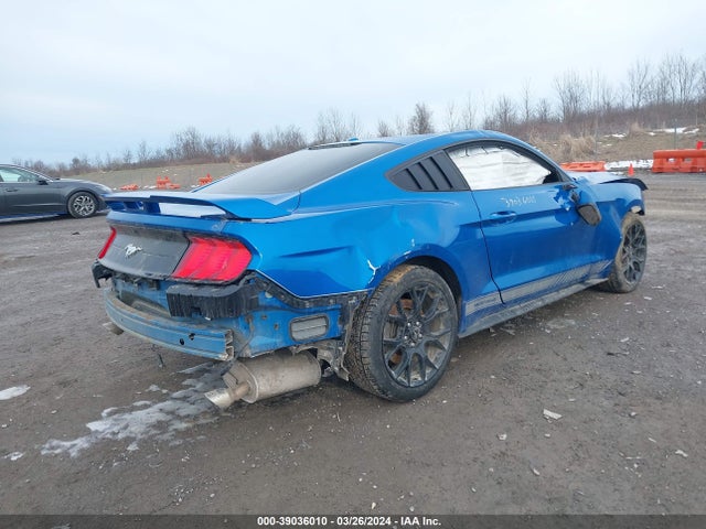 Ford Mustang 2019 1FA6P8TH2K5203084 Image 4
