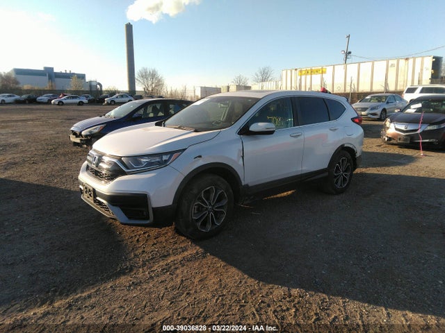 Honda Cr-v Awd Ex 2020 2HKRW2H55LH699120 Image 2
