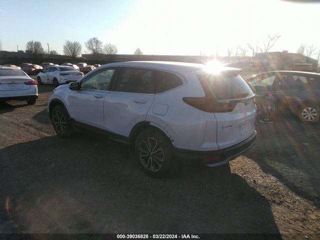 Honda Cr-v Awd Ex 2020 2HKRW2H55LH699120 Image 3