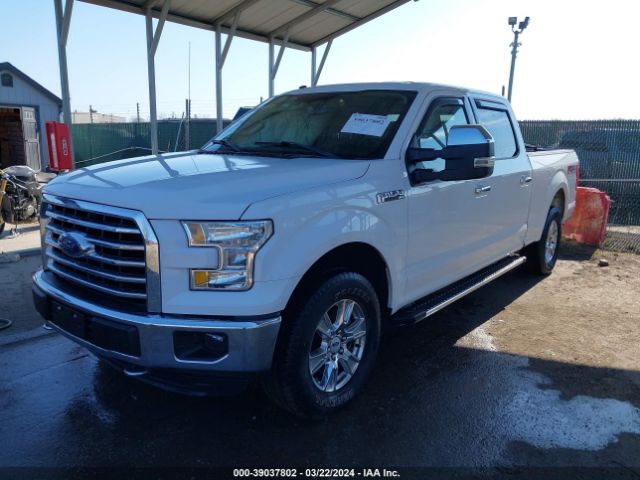 1FTFW1EFXGFD37679 Ford F-150 Xlt