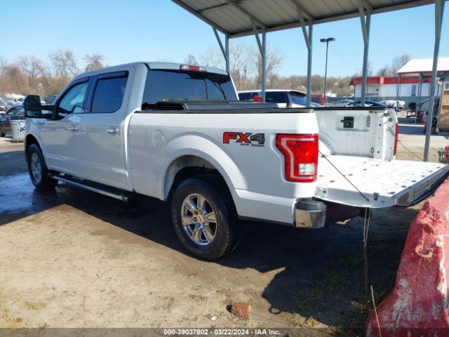 1FTFW1EFXGFD37679 Ford F-150 Xlt
