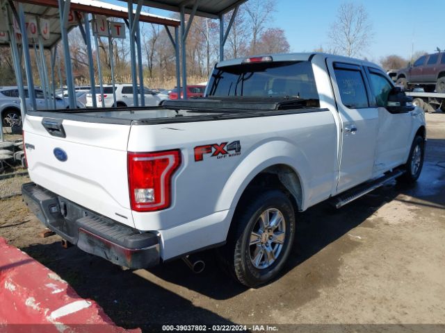 1FTFW1EFXGFD37679 Ford F-150 Xlt