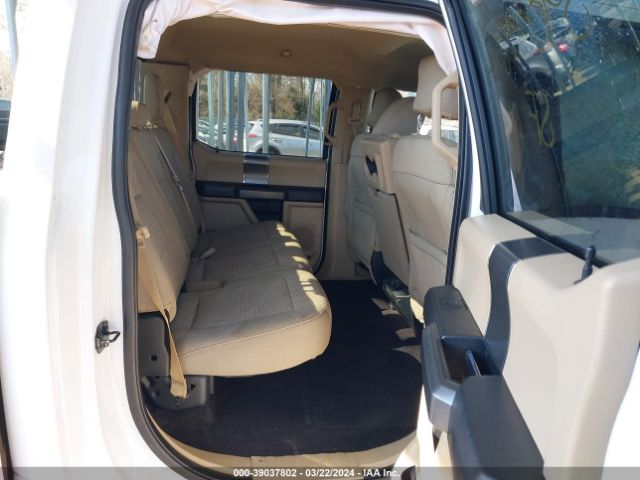 1FTFW1EFXGFD37679 Ford F-150 Xlt