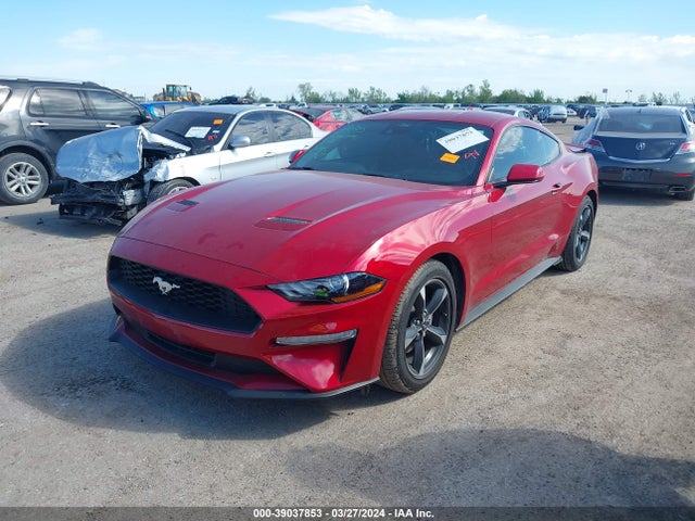 Ford Mustang Ecoboost Fastback 2023 1FA6P8TH2P5113098 Image 2