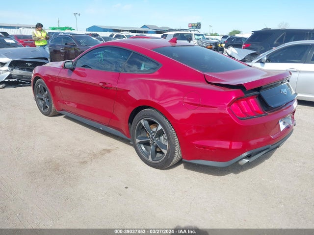 Ford Mustang Ecoboost Fastback 2023 1FA6P8TH2P5113098 Image 3