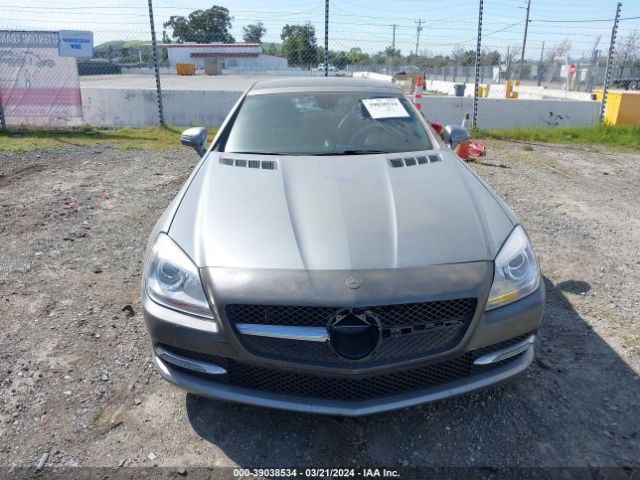 WDDPK4HA3EF077579 Mercedes-Benz SLK 250