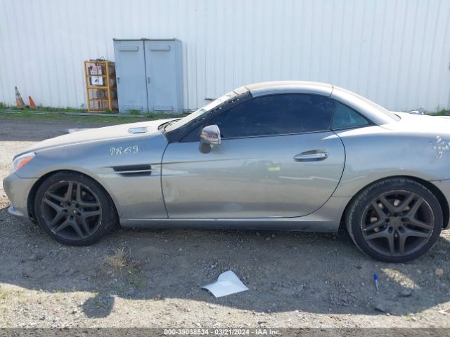 WDDPK4HA3EF077579 Mercedes-Benz SLK 250